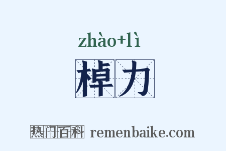 棹力是什么意思的图片